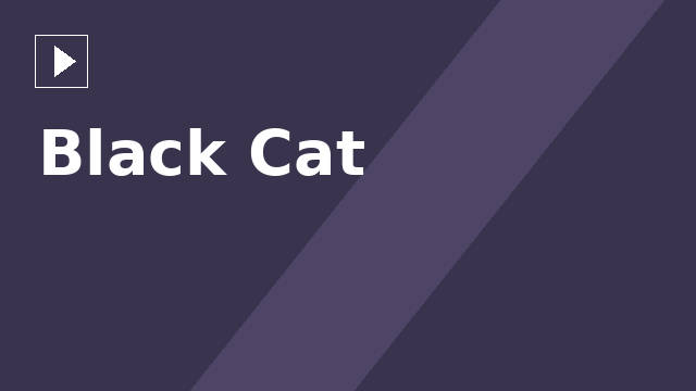 Black Cat